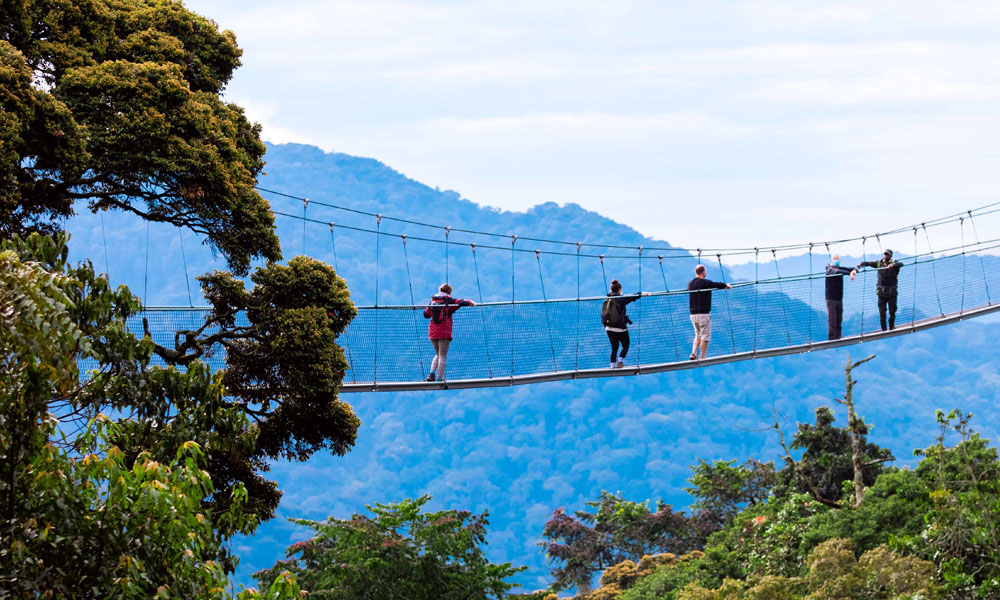 nyungwe canopy walk