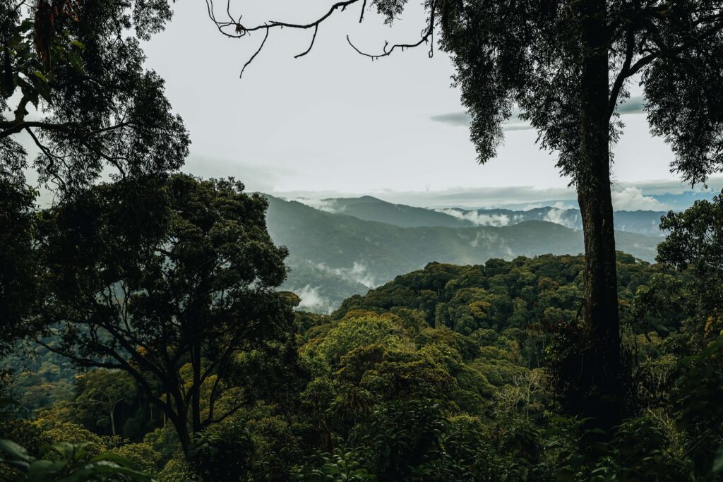 NATIONAL PARKS IN RWANDA
